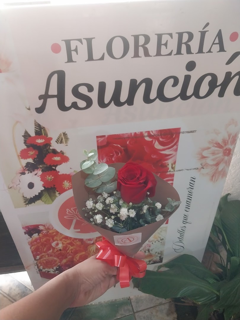 Florería Asunción — foto 18
